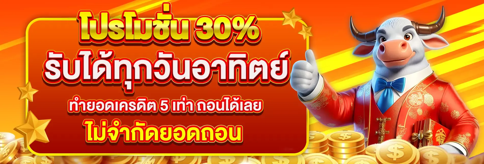 ฟีเจอร์เด่น